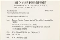 登錄號:F0037903藏品圖，第2張