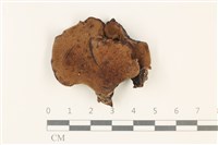 登錄號:F0037903藏品圖，第1張
