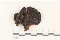 登錄號:F0037903藏品圖，第3張