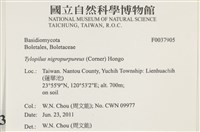 登錄號:F0037905藏品圖，第2張