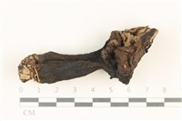 登錄號:F0037905藏品圖，第1張