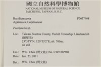登錄號:F0037908藏品圖，第2張