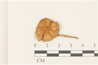 登錄號:F0037908藏品圖，第1張