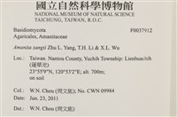 登錄號:F0037912藏品圖，第2張