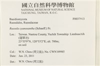 登錄號:F0037913藏品圖，第2張