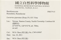 登錄號:F0037915藏品圖，第2張