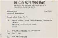 登錄號:F0037923藏品圖，第2張