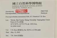 登錄號:F0037928藏品圖，第2張