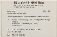 登錄號:F0037929藏品圖，第2張