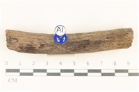 登錄號:F0037929藏品圖，第1張