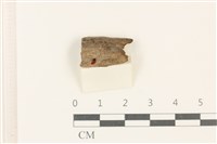 登錄號:F0037931藏品圖，第1張