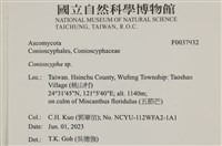 登錄號:F0037932藏品圖，第2張