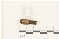 登錄號:F0037932藏品圖，第1張