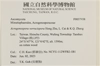 登錄號:F0037938藏品圖，第2張
