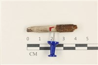 登錄號:F0037938藏品圖，第1張