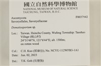 登錄號:F0037942藏品圖，第2張