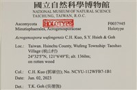 登錄號:F0037945藏品圖，第2張