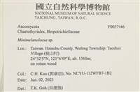 登錄號:F0037946藏品圖，第2張