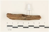 登錄號:F0037946藏品圖，第1張