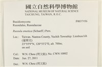 登錄號:F0037956藏品圖，第2張