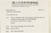 登錄號:F0037959藏品圖，第2張