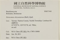 登錄號:F0037960藏品圖，第2張