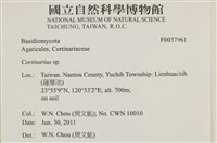 登錄號:F0037961藏品圖，第2張