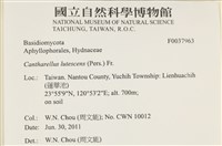 登錄號:F0037963藏品圖，第2張