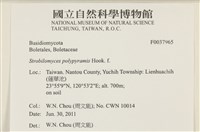 登錄號:F0037965藏品圖，第2張