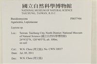 登錄號:F0037966藏品圖，第2張