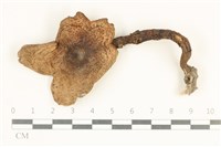 登錄號:F0037966藏品圖，第1張