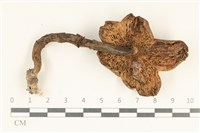 登錄號:F0037966藏品圖，第3張