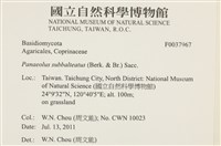 登錄號:F0037967藏品圖，第2張