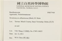 登錄號:F0037968藏品圖，第2張