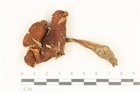 登錄號:F0037968藏品圖，第1張
