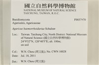 登錄號:F0037970藏品圖，第2張