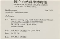 登錄號:F0037975藏品圖，第2張