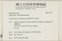 登錄號:F0037977藏品圖，第2張