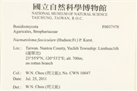 登錄號:F0037978藏品圖，第2張