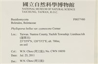 登錄號:F0037980藏品圖，第2張