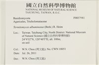 登錄號:F0037981藏品圖，第2張