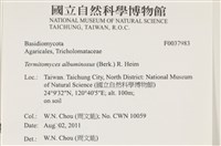 登錄號:F0037983藏品圖，第2張