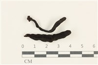 登錄號:F0037984藏品圖，第1張