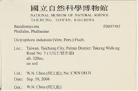 登錄號:F0037985藏品圖，第2張