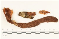 登錄號:F0037985藏品圖，第1張