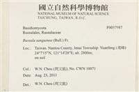登錄號:F0037987藏品圖，第2張