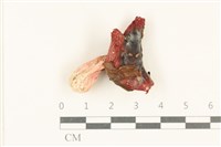 登錄號:F0037987藏品圖，第1張