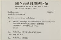 登錄號:F0037991藏品圖，第2張