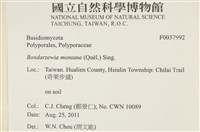 登錄號:F0037992藏品圖，第2張