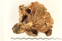 登錄號:F0037992藏品圖，第3張